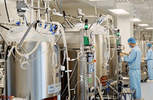 首次提出,即占据c位