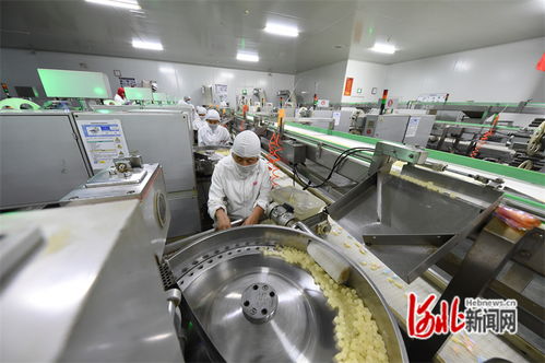 邯郸 做优平台,让项目落地快发展好