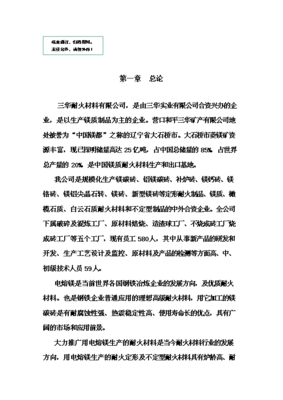 (终稿)电熔镁生产线新建项目备案立项报告.doc(OK版)