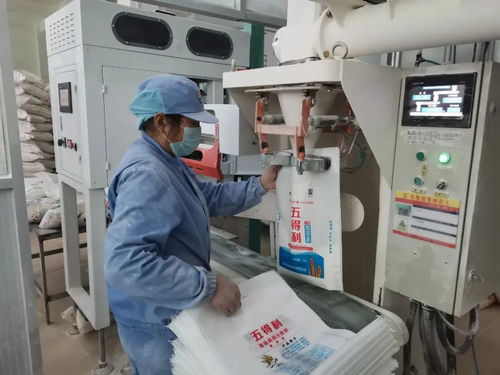 粮仓满满的 这图看着心里真踏实