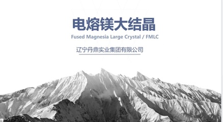 辽宁丹鼎实业集团