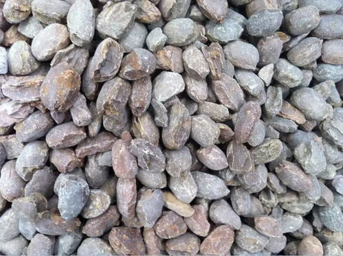 行情 中国镁砂市场价格趋稳,高纯镁砂深受老外青睐