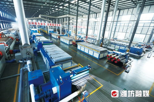 潍坊高密 产业聚 链 成势 园区向 新 发力