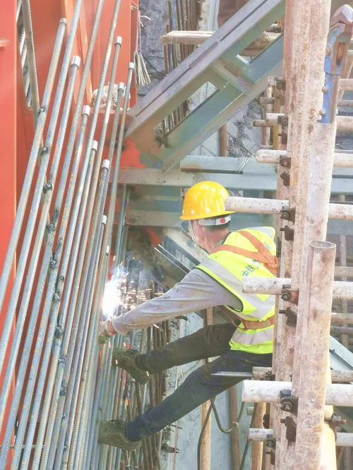 图看交通 抢抓春光忙生产