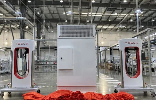 2021年新能源汽车市场展望 1月销量翻倍增长与电熔镁生产的潜在影响