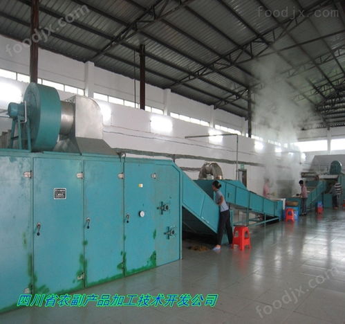 高良姜烘干机与电熔镁生产 良姜快速干燥的关键设备