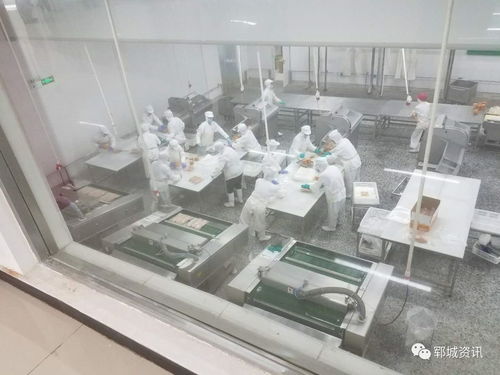 红盾护企 食品生产科在行动，保障电熔镁生产安全